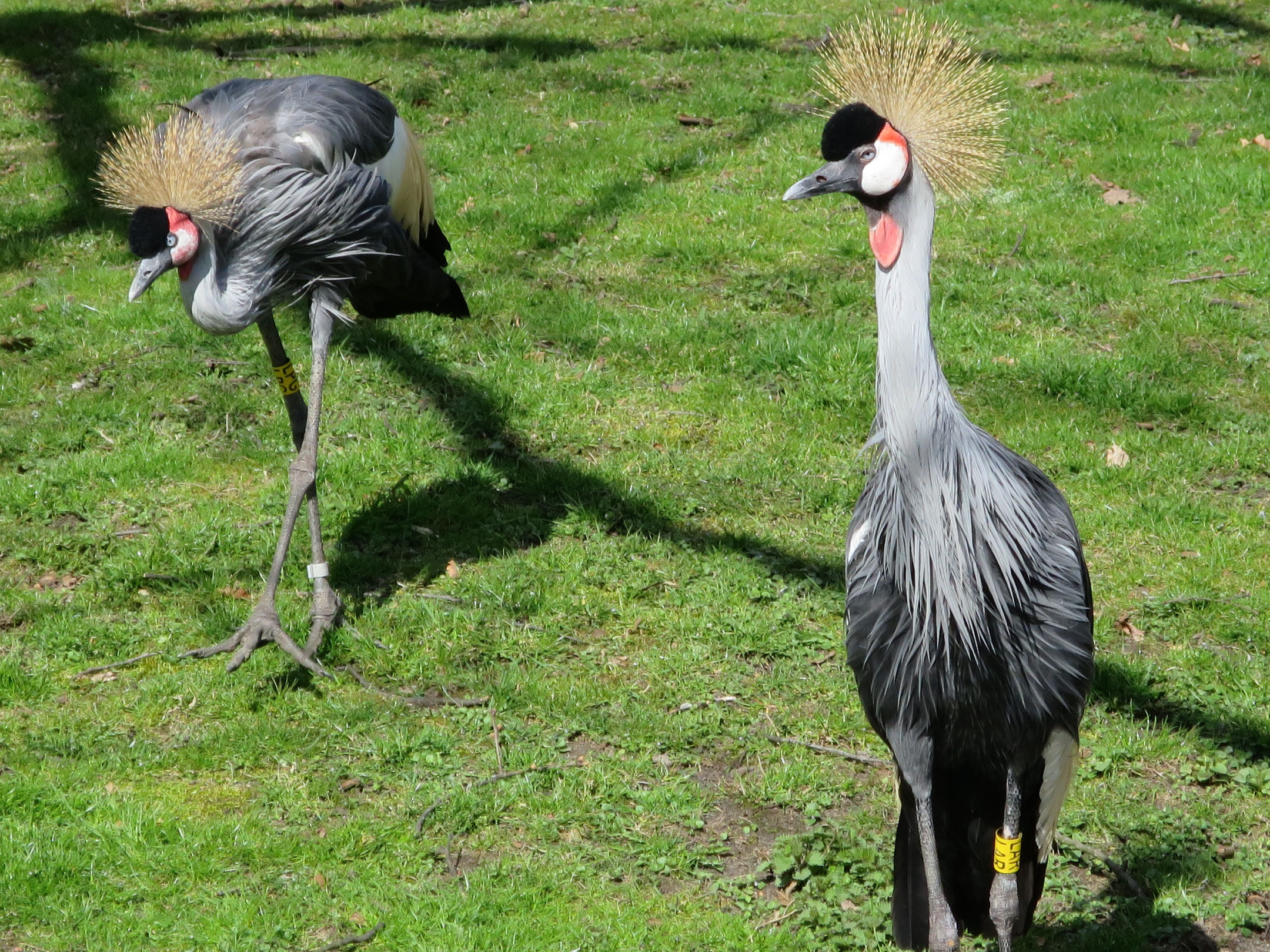 Tierpark Zoo  01